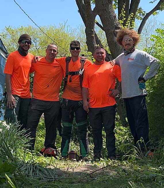 About Wilson Tree Service