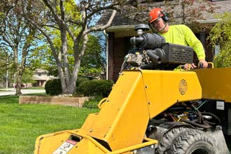 Wilson Tree Service Stump Removal
